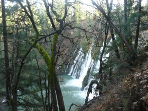 thanksgiving12 - burneyfalls 007