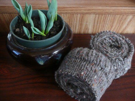 Jan2513 sox yarn cakes