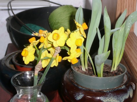 Feb5 you know its spring 002