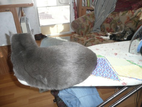 Jan2813 ds quilt 005