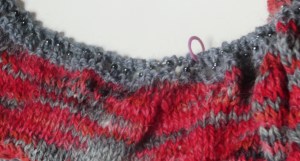 Mar 15 whippoorwill 002