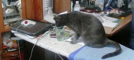 Mar 6 sleeping 001 (2)