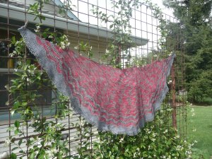 May 22 whippoorwill, missed