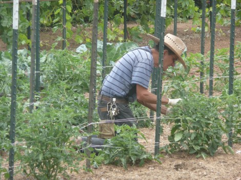 May 28 - tending 001