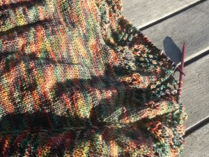 oct  23   my wish, ginko, new jane 006