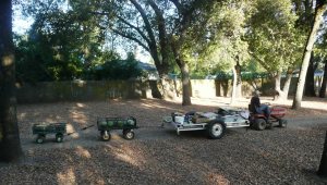 august25 to market 006