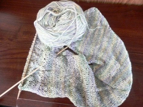 june25 yan along 001