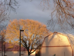 feb10 evning light 001