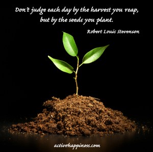 dont-judge-each-day-by-the-harvest-you-reap-but-by-the-seeds-you-plant